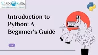 introduction to python a beginner s guide