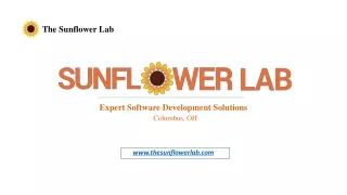 ModoScript_The Sunflower Lab