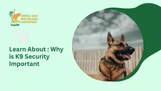 Why K9 Security is important