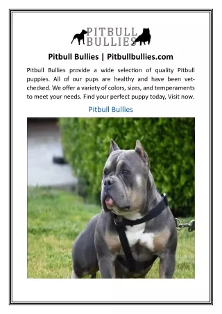 Pitbull Bullies | Pitbullbullies.com