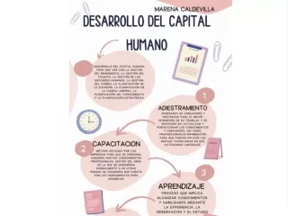 Desarrollo del capital humano.