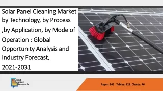 Solar Panel Cleaning market