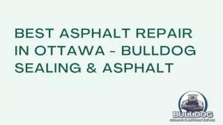 Best Asphalt Repair in Ottawa - Bulldog Sealing & Asphalt