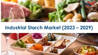 Industrial Starch Market Outlook and Overview