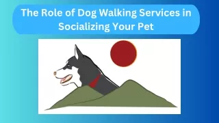 The Role of Dog Walking Services in Socializing Your Pet