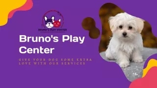 bruno s play center