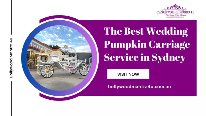 the best wedding pumpkin carriage service