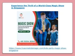 Experience the Thrill of a World-Class Magic Show in Singapore