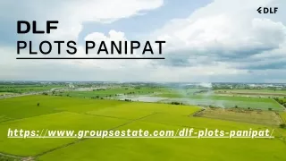 DLF Plots Panipat: Where Luxury Meets Affordability