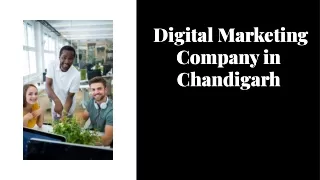 Digital Marketing Company in Chandigarh