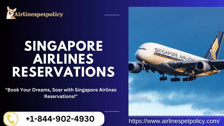 singapore airlines reservations