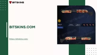 bitskins com