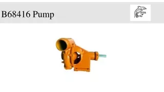 B68416 Pump