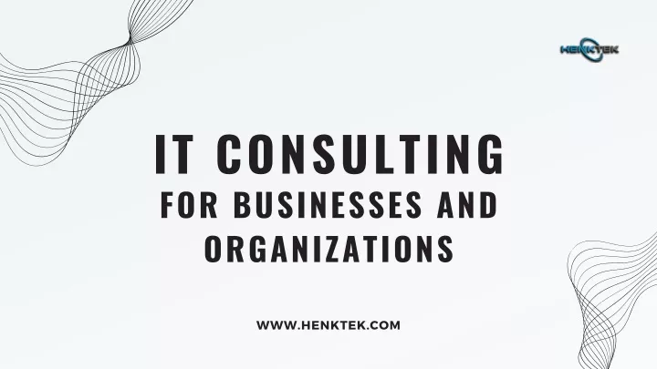 it consulting for businesses and organizations