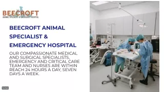 24 Hour Vet and Animal Emergency Hospital Singapore