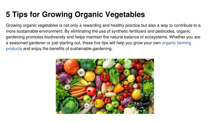 5 tips for growing organic vegetables