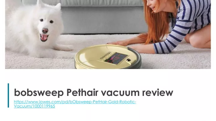 bobsweep pethair vacuum review