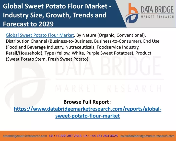 global sweet potato flour market industry size