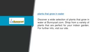 Plants That Grow In Water  Bunnycart.com