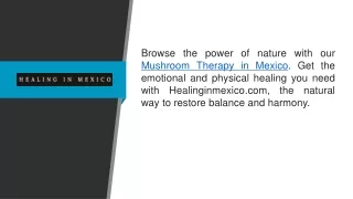 Mushroom Therapy In Mexico Healinginmexico.com