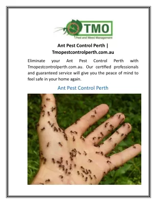 Ant Pest Control Perth  Tmopestcontrolperth.com.au