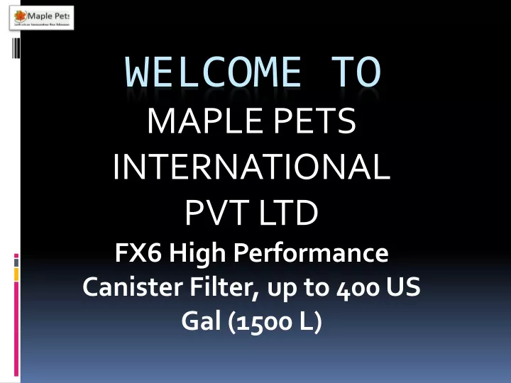 welcome to maple pets international