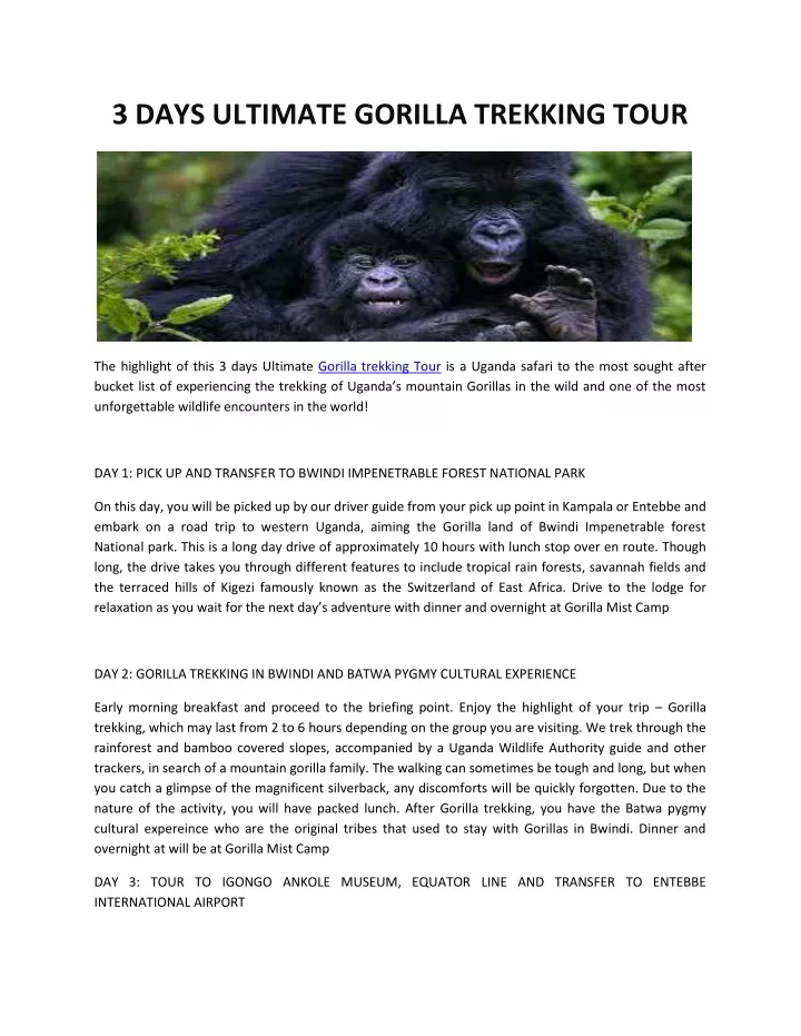 3 days ultimate gorilla trekking tour