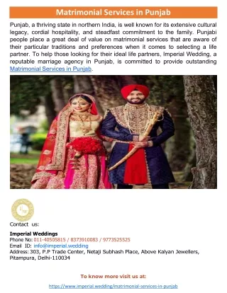 Matrimonial Services in Punjab