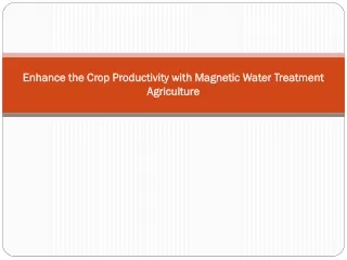 Enhance the Crop Productivity with Magnetic Water Treatment Agriculture