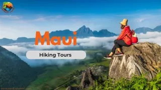 Book the Best Hiking Tours Today | Stardust Hawaii