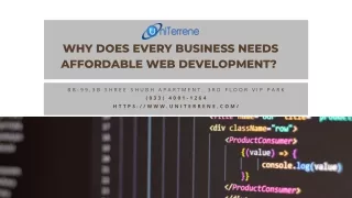 Why Does Every Business Needs Affordable Web Development?