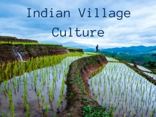 Indian village culture by Dhanveer Rajput