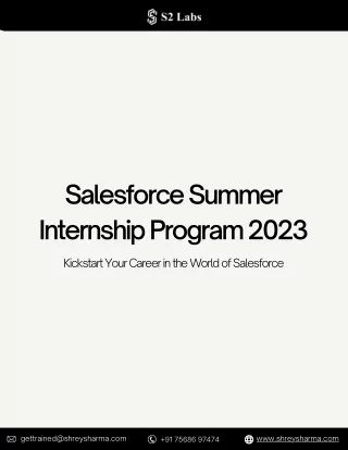 Salesforce Summer Internship Program 2023