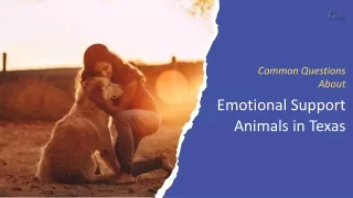 Common questions about emotional support animals in Texas