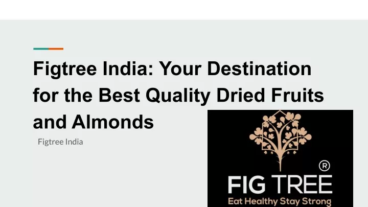 figtree india your destination for the best
