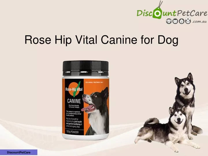 rose hip vital canine for dog