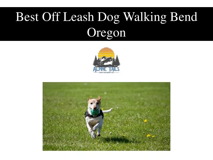 best off leash dog walking bend oregon