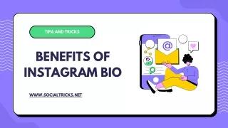 Benefits of Instagram Bio by Social Tricks