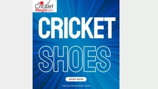 Best Cricket Spike- Cricket Mega Mart