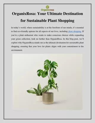 Your Ultimate Destination for Sustainable Plant Shopping