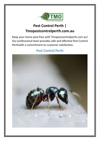 Pest Control Perth | Tmopestcontrolperth.com.au