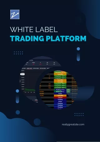 White Label Trading Platform - ZagTrader