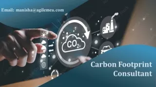 Why is a Company's Carbon Footprint so important