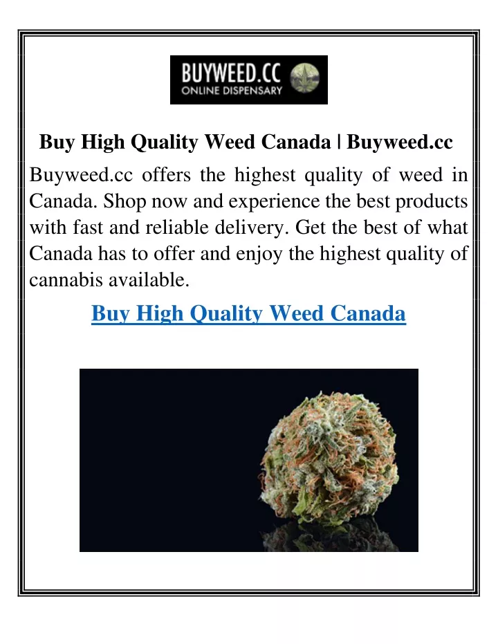 buy high quality weed canada buyweed cc buyweed