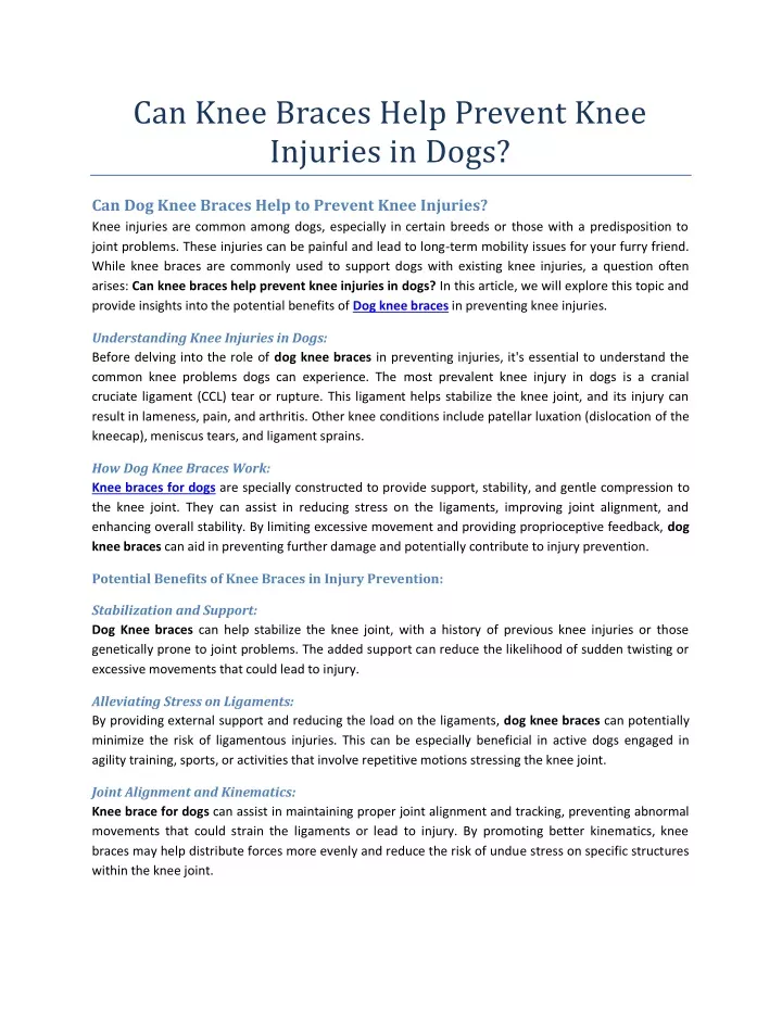 can knee braces help prevent knee injuries in dogs