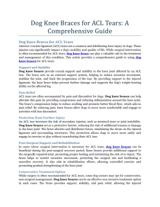 dog knee braces for acl tears a comprehensive