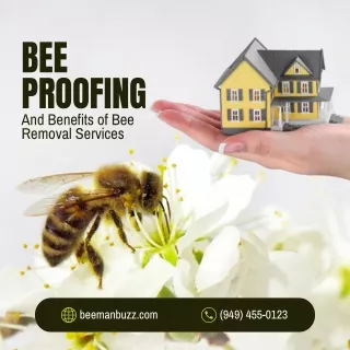 safety of bee proofing and Orange County bee removal service
