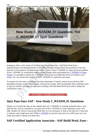 New Study C_WZADM_01 Questions, Hot C_WZADM_01 Spot Questions