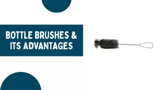 Bottle Brushes & Its Advantages