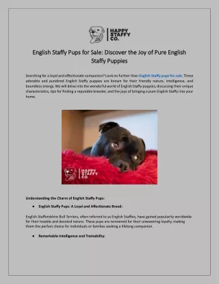 English Staffy Pups for Sale Discover the Joy of Pure English Staffy Puppies